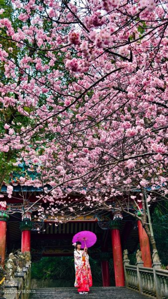 內湖碧山巖 2/182714801