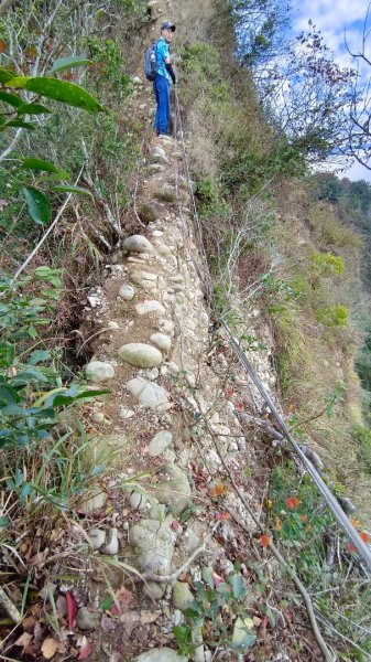 石苓湖山（頭嵙南峰）/黑山/黑山北峰/頭嵙山1585860