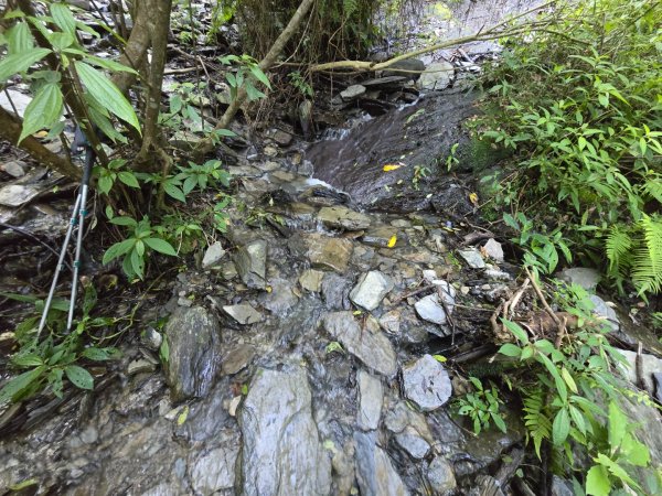 卓社大山〔武界栗栖溪登山口起登〕2748375