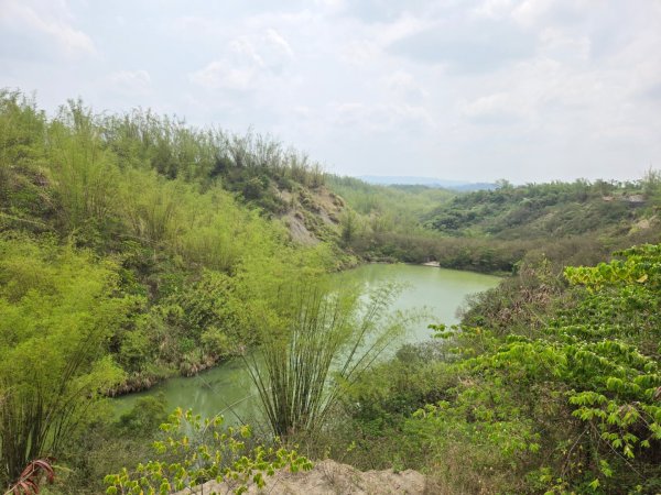 2025-04-07 左鎮後坑古道（牛港嶺）2757659