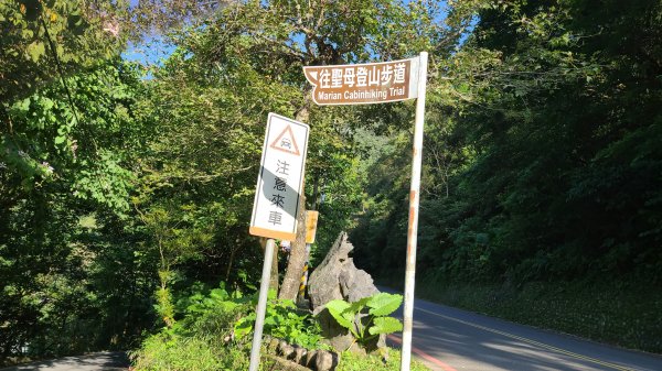 2021-1111 抹茶山三角崙山封面