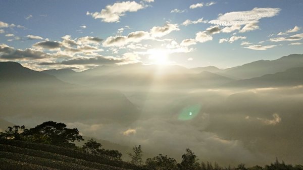 【巃頭-龍銀山天氣】阿里山日出私房秘境691527