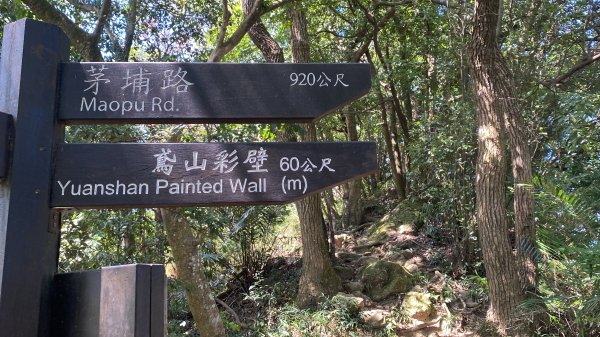 2025微笑山線大縱走尋寶集章任務-Ep.03【鳶山山系】鳶山彩壁段2893685