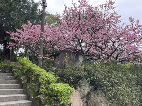 山仔頂步道2708425