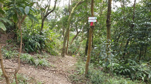 烘爐地文筆山造鎮1067416
