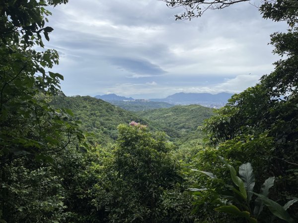 [微笑山線_第一段] 2025_0720 大棟山系_鎮遠山2843576