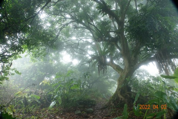 臺南 南化 刣牛湖山1664316