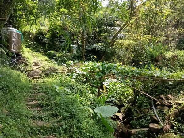 汐止區姜子寮田園步道+旗尾崙+姜子寮絕壁、瀑布O型2822244