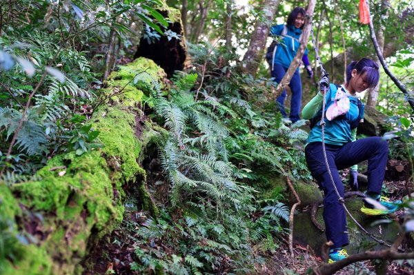 嘎色鬧登那結山2392515