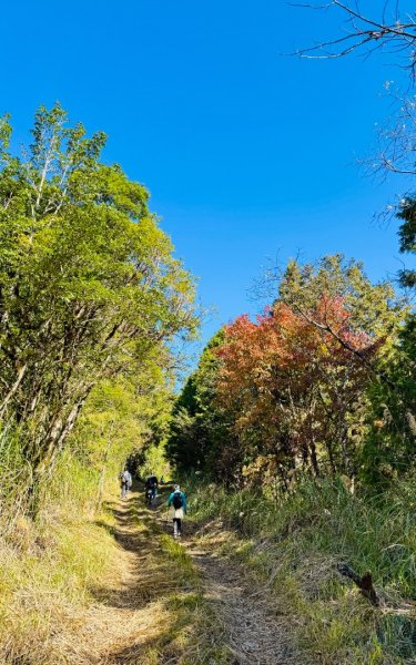 三星山(小百岳#85) 鳩之澤溫泉煮蛋趣2953228