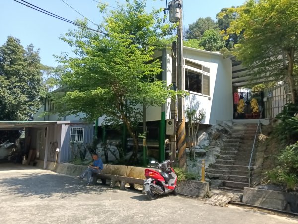 王公坑山血藤花2746257