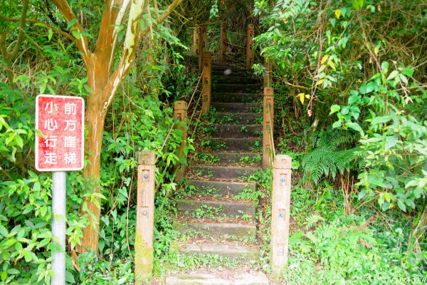 獅仔頭山+鹿母潭山1726521