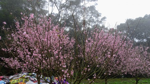 十八彎古道2026565