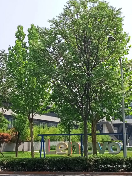 【北京探索科技與文史之旅】聯想集團→頣和園→小吊梨湯午餐→圓明園→五道口棗糕王→北京清華大學2210960