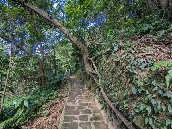 大湖公園。白鷺鷥山親山步道1960530