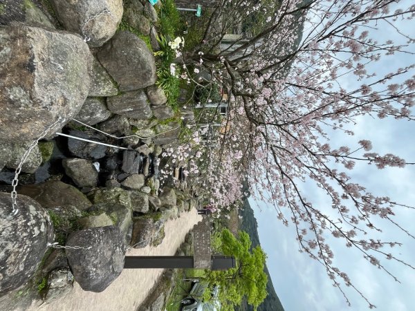 20240314_大屯山+紫明溪步道2855573