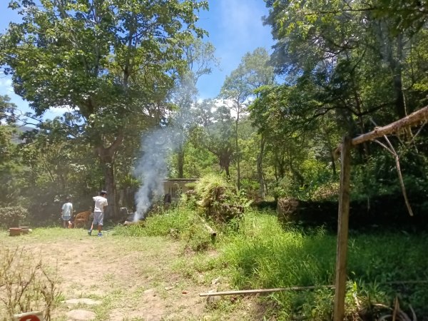 平溪區嶺腳步道+望古坑保甲路+嶺腳寮山+望古賞瀑步道(瀑布)+望古坑古道2825913