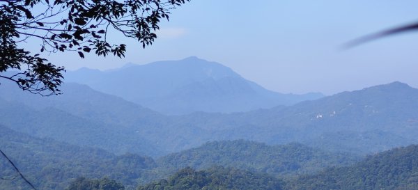 2025/08/09_赤柯山+東獅頭山步道2856298