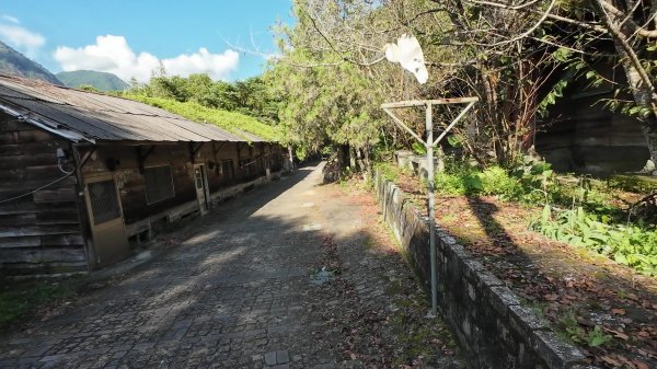 東卯山(谷關七雄No:5)3129234