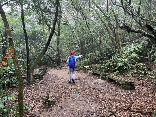 2025-01232淡蘭古道北二段(燦光寮古道到澳底)2696714