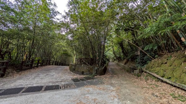 114.10.11石荀尖之旅2912039