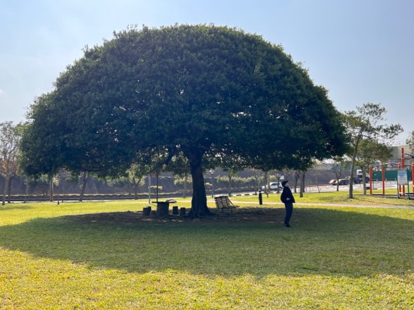 北車-桃園-齋明寺-自行車道-中庄調整池-七張-月眉封面