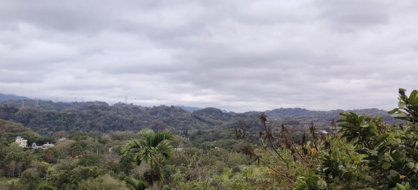 2026/02/01 十二寮古道2992745