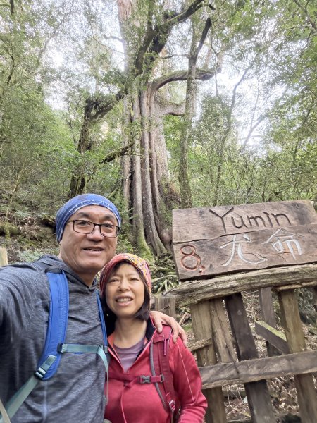 鎮西堡巨木步道B區全段+A區部分3008515