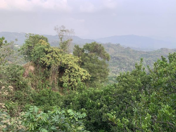 台中潭子聚興山環O林牛山一圈（小百岳）2126383