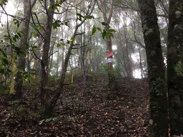 2018/06/18高台山連走島田三山353814