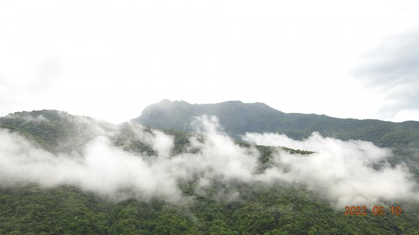 金山八景之竹峰吐霧-美人的靜凝仰望-竹子山(美人山)5/10-12三天1707916