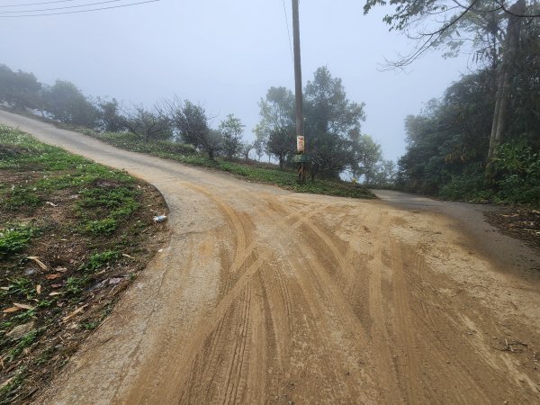20260201雞冠山與黃麻園山(苗栗縣大湖鄉)3004226