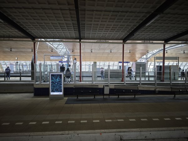 2025_0420 倫敦馬拉松順遊西歐 D2e(鹿特丹)2786195