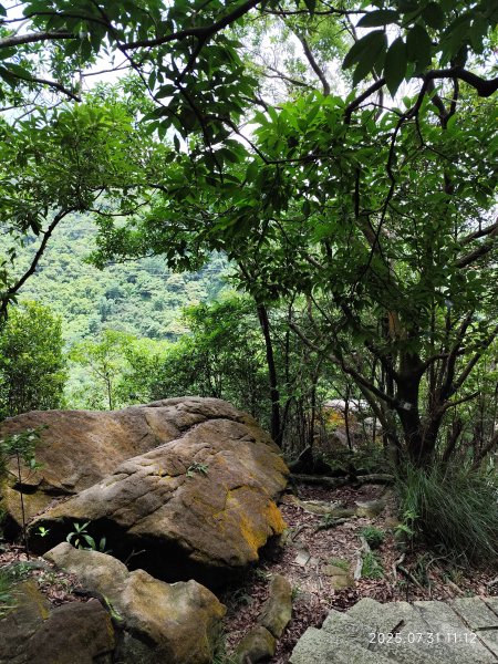 大湖公園→大溝溪生態治水園區→圓覺寺步道→圓覺瀑布→圓覺寺→鯉魚山步道【臺北大縱走 4、臺北健走趣】2849165