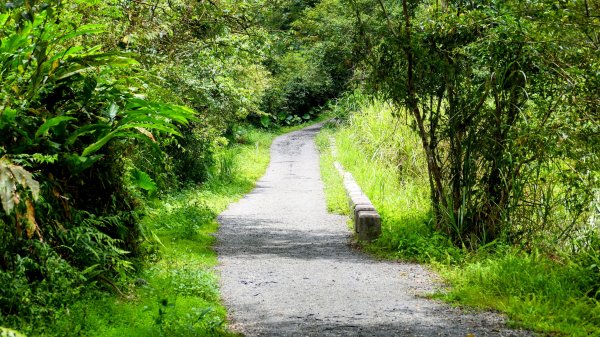 九寮溪自然步道2826883