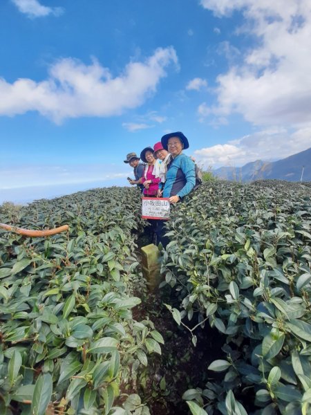 鹿谷小半天6峰連走1269690