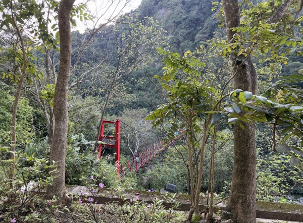 [淡蘭古道] 2026_0315 南路第二段_外按古道3016381