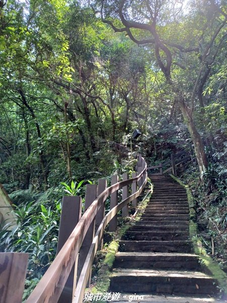 【台北信義】搭捷運爬山趣。 小百岳集起來。編號13小百岳-南港山步道1755566