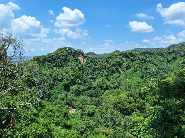 田中麒麟山森林步道202508172862031