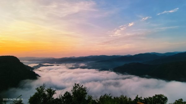 翡翠水庫壩頂 #火燒雲雲海 #日出雲海 #鱷魚島 #藍腹鷴 4/292772690