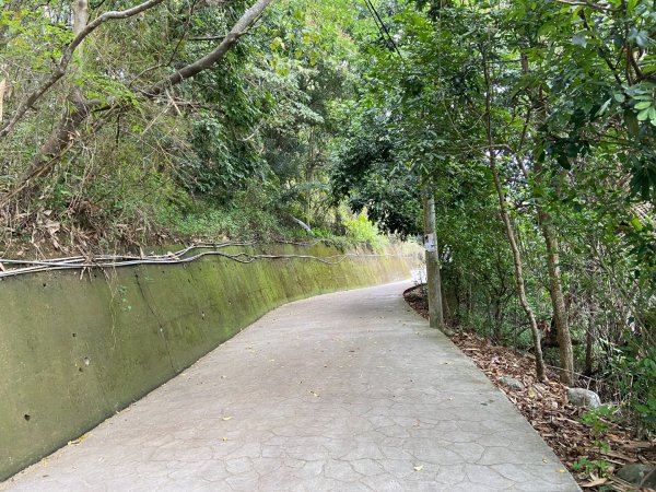 大坑2號原路來回2130450