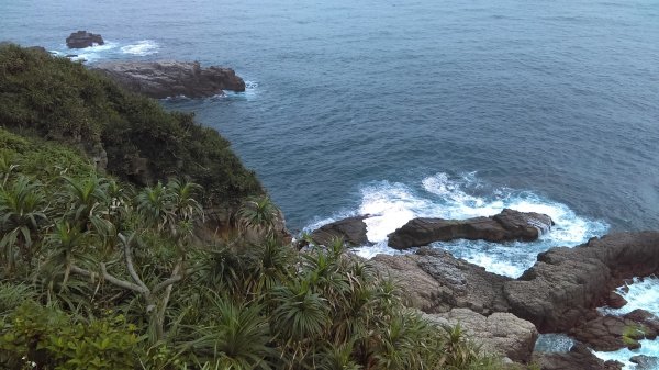 【東北角生態步道尋寶石】 龍洞灣岬步道965554