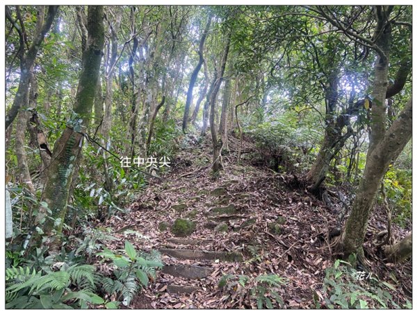 平溪中央尖、慈恩嶺、東勢格步道 O型一圈3072477
