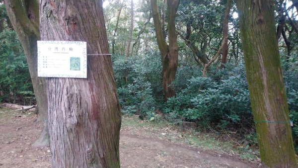 高峰植物園1564090