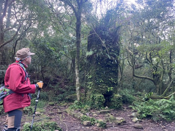 新北 三芝 小觀音山小O2723105