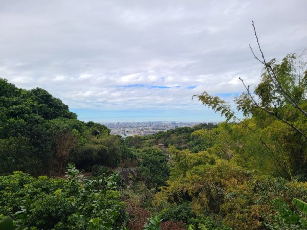 金螢寶山貴妃道2703226