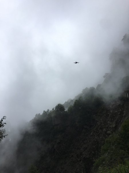 阿里山眠月線1203649