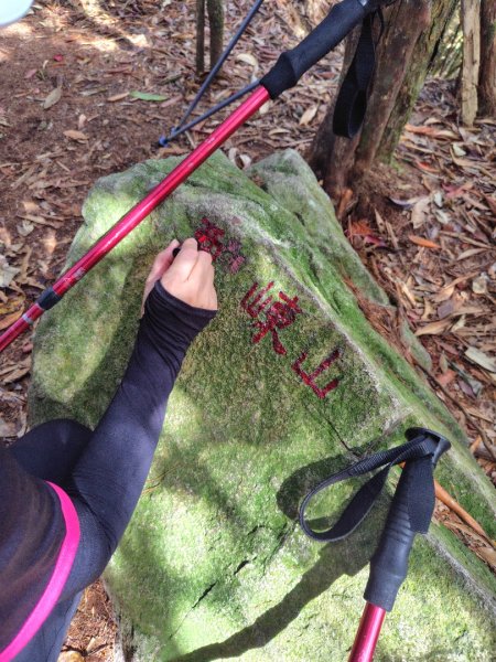 長壽山、肥崠山、醜崠山、大崠山、大崠山經建版2931573