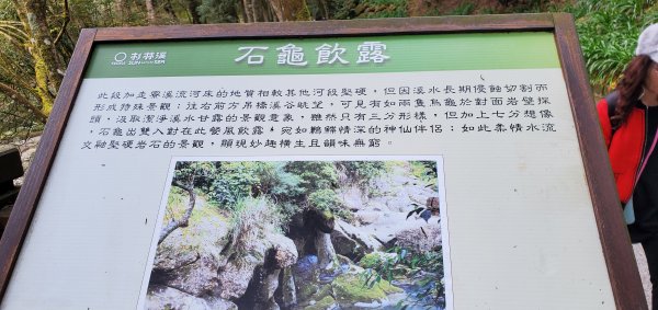 2023-01-01杉林溪青龍蕨類步道(青龍瀑布)、松瀧岩瀑布及天地眼步道1978860