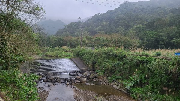 2025-01232淡蘭古道北二段(燦光寮古道到澳底)2696545
